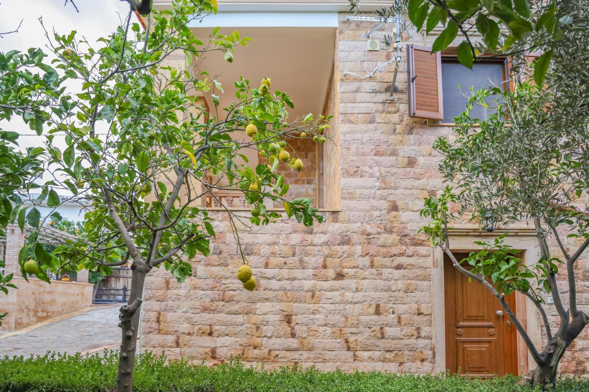 Archontiko Frideriki Luxury Apartments Chios Town Ngoại thất bức ảnh